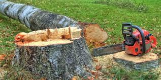 Clayton, OH Tree Care Company