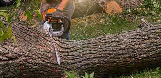 Best Artificial Turf Installation  in Clayton, OH