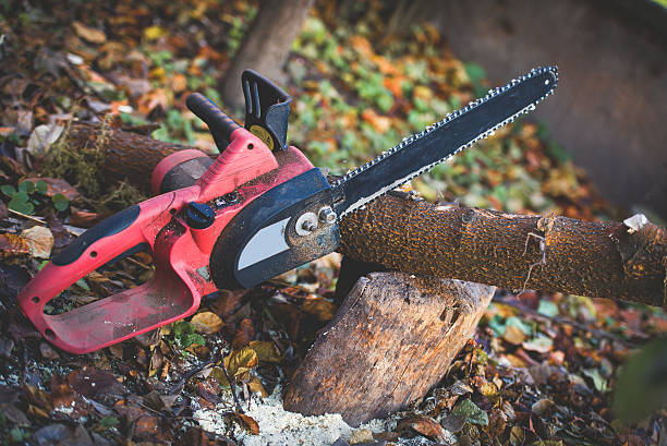 Best Aeration Services  in Clayton, OH